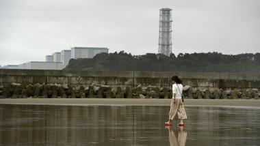 Fukushima Daiichi Nuclear Power Plant Unit 2 reactor radioactive water leak