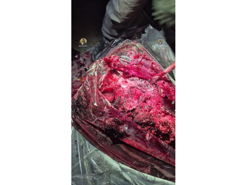 Tone de cocaină au fost descoperite în Portul Constanța. Drogurile erau ascunse în fructe congelate