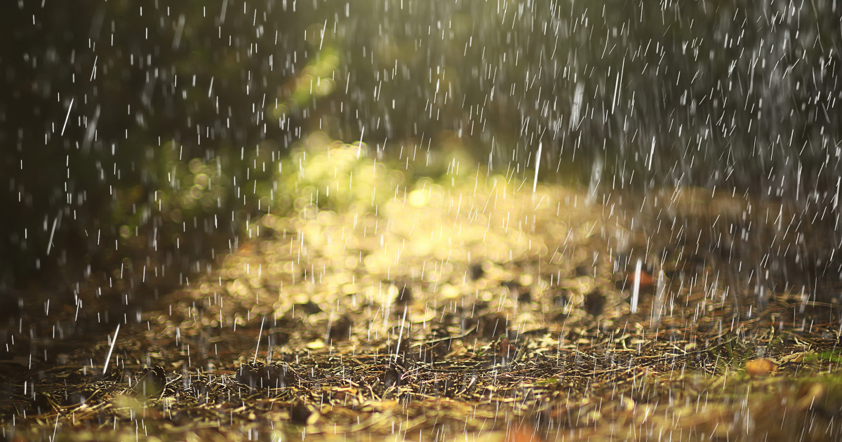 Avertizări meteo: ploi și vijelii în 16 județe, prognoză pentru București