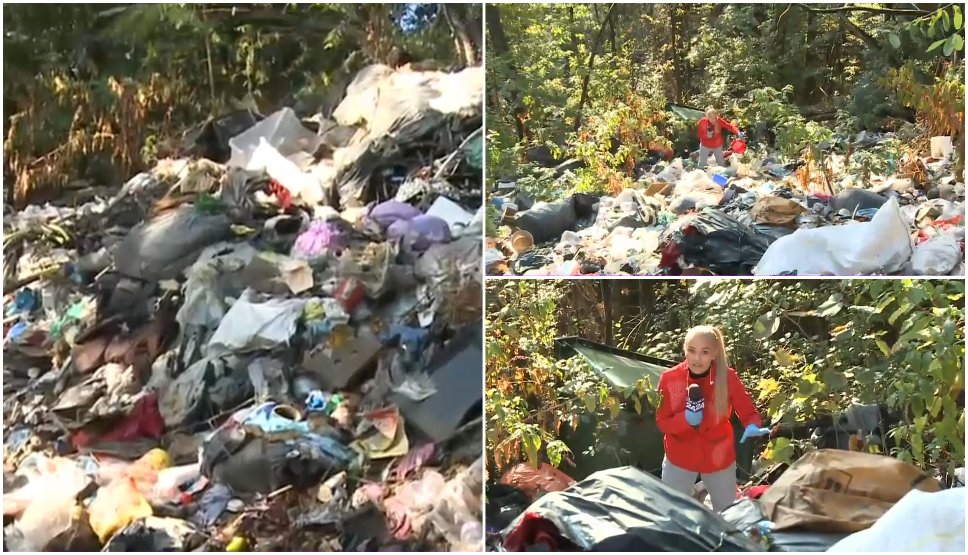 Pădure sufocată de gunoaie, în Gorj. Autoritățile ridică din umeri: "E un fenomen!". Decizia Gărzii de Mediu după sesizarea Digi24