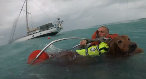 Momentul în care Paza de Coastă a SUA salvează un bărbat şi câinele său de pe o barcă cu pânze în timpul uraganului Helene