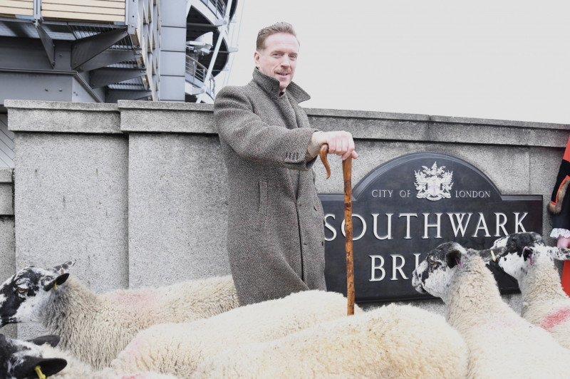 Damian Lewis along with Alison Mosshart attend the annual City of London Sheep Drive