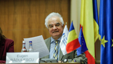 Eugen Radulescu, BNR