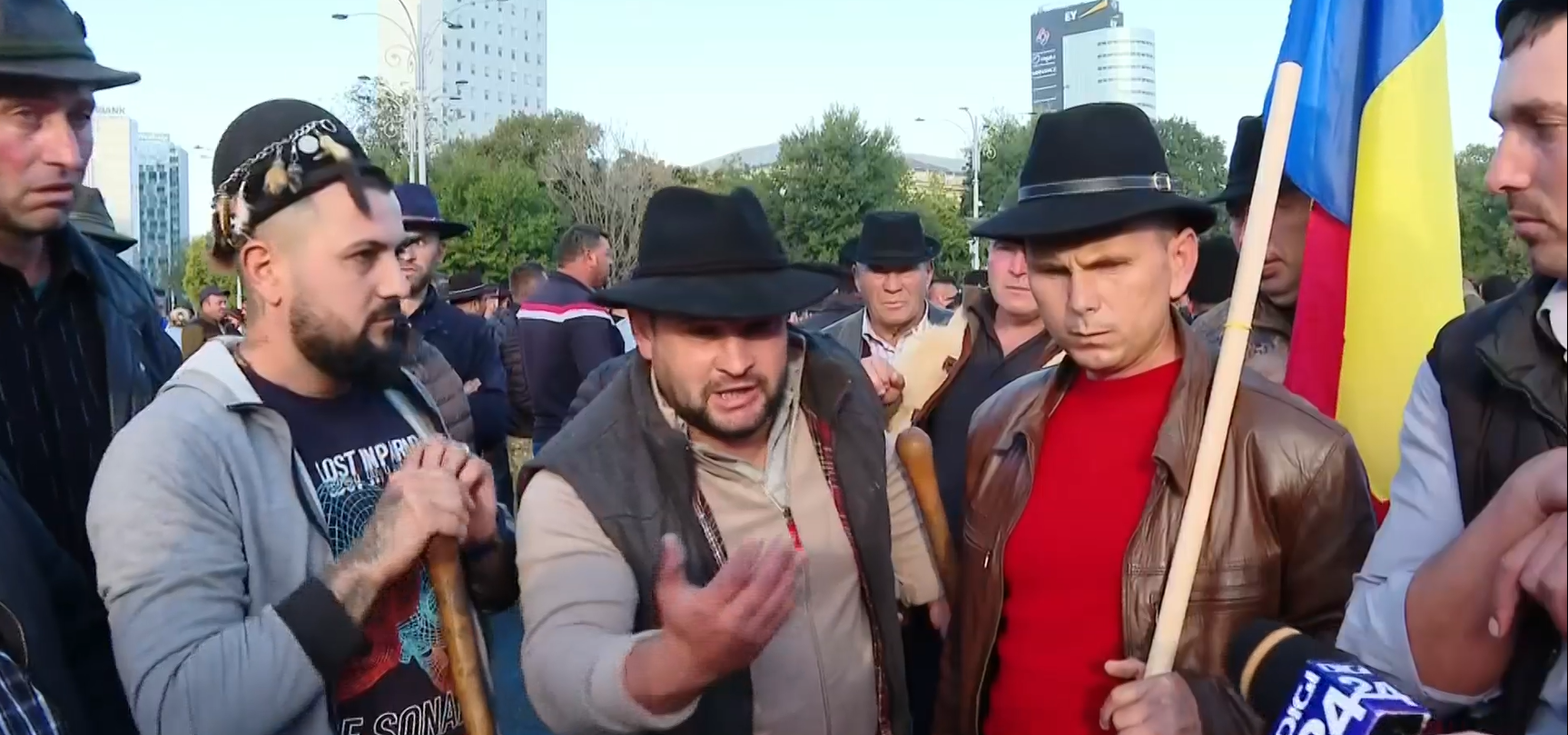 Sute de ciobani protestează în fața guvernului. Ei sunt revoltați în urma măsurilor privind eutanasierea oilor