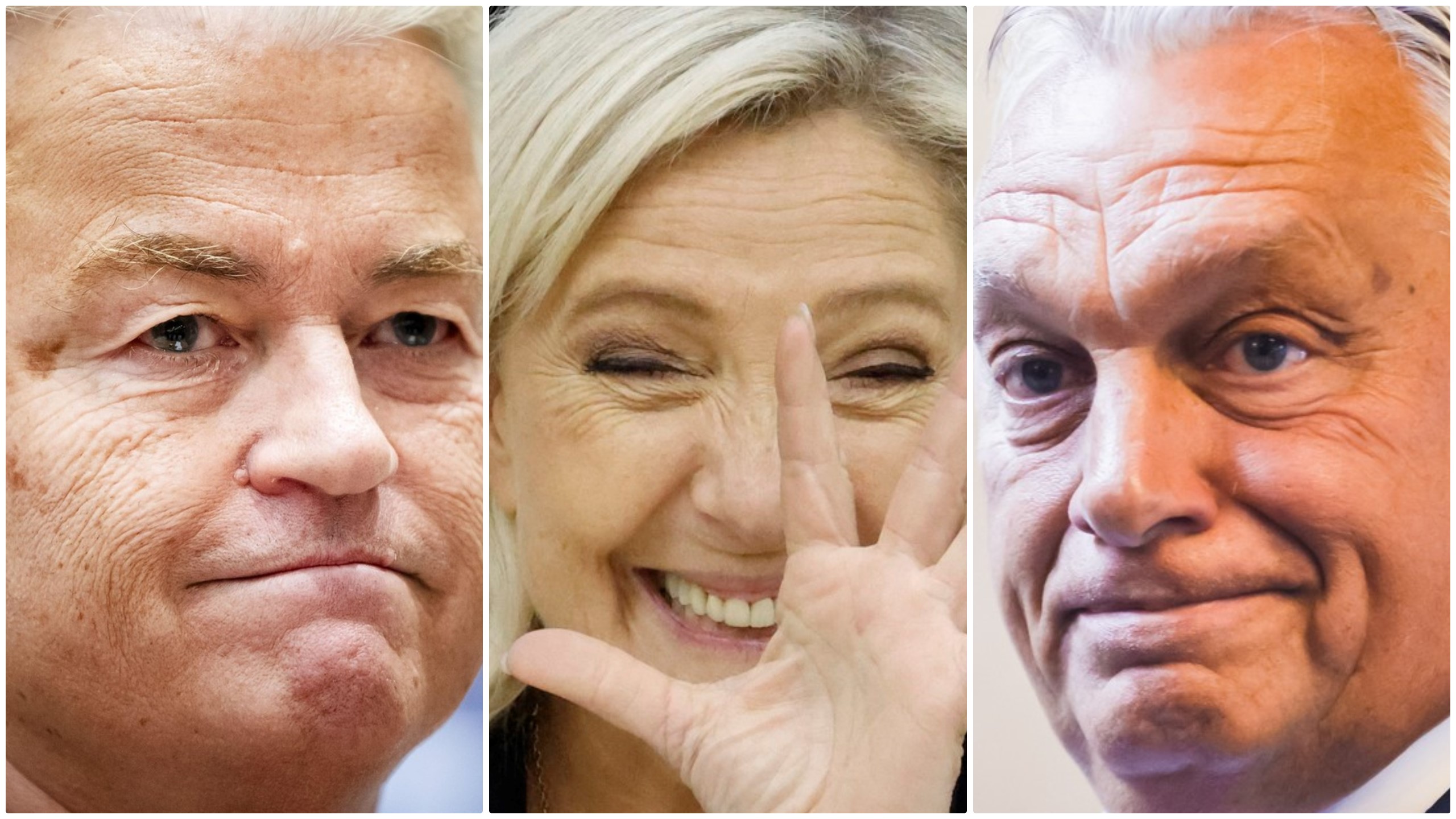 „Învingem!”: Mesajele îngrijorătoare transmise de Wilders, Le Pen și Orban după victoria extremei drepte la alegerile din Austria
