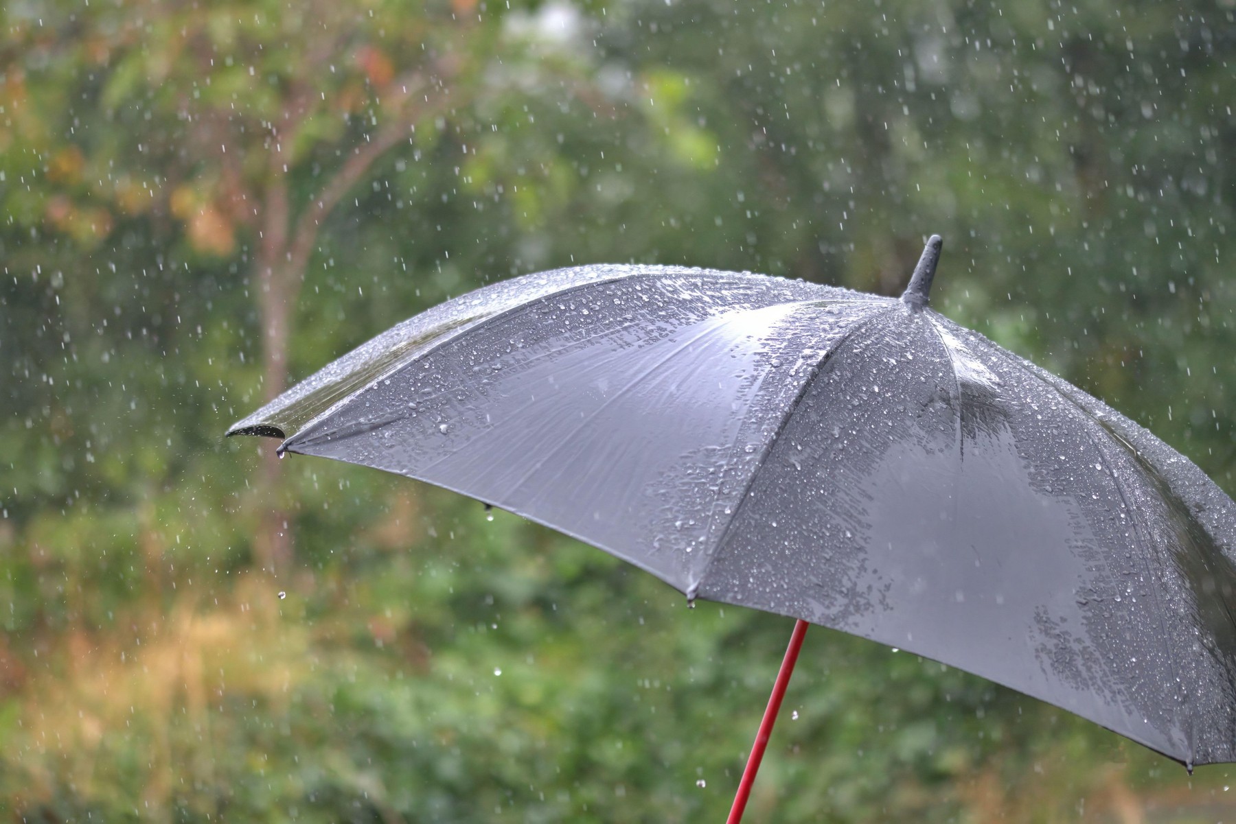 Prognoza meteo pe patru săptămâni: temperaturi mai ridicate decât cele normale
