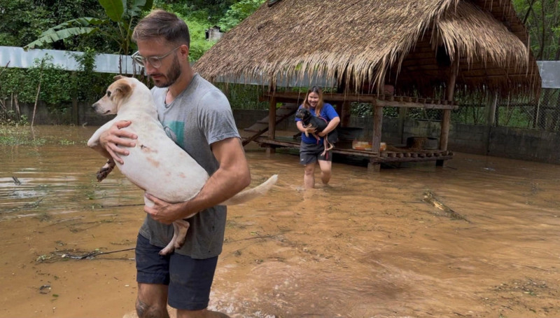 Animale evacuate din „Elephant Nature Park”, Thailanda, din cauza inundațiilor