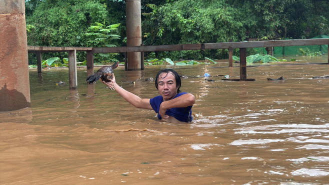 Animale evacuate din „Elephant Nature Park”, Thailanda, din cauza inundațiilor