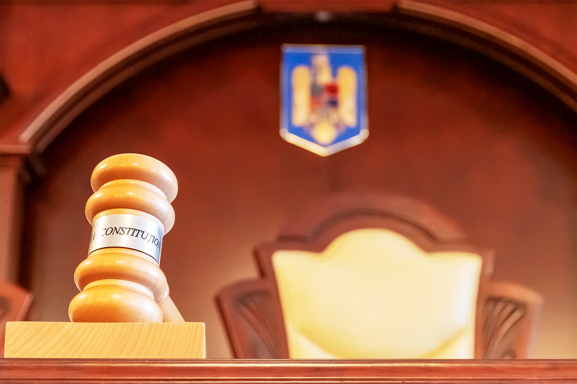 PSD cere CCR să prezinte motivele care au dus la decizia de invalidare a candidaturii Dianei Șoșoacă la prezidențiale