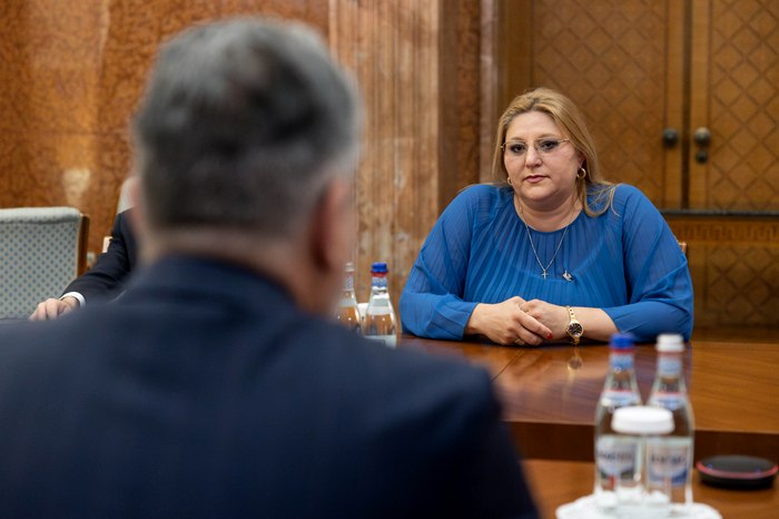 Ciolacu: CCR să prezinte rapid motivarea în cazul Dianei Șoșoacă. Rolul său este de a apăra candidaţii şi dreptul lor de a fi aleși