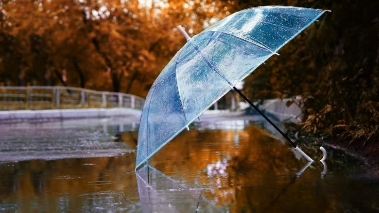 umbrelă și peisaj de toamnă