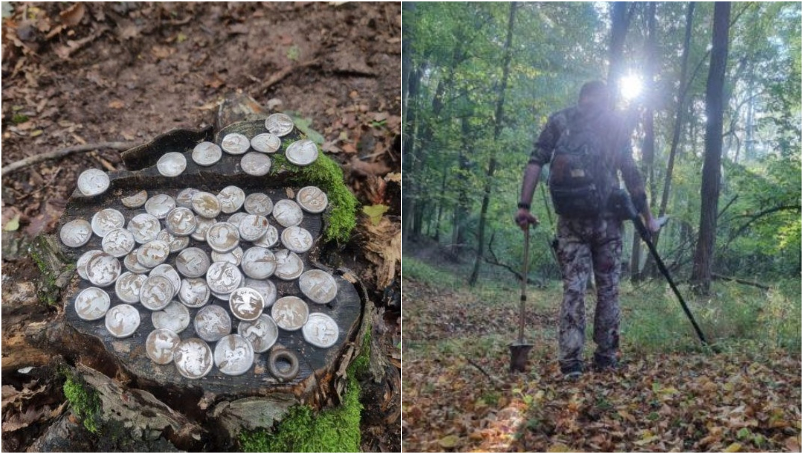 Comoară istorică descoperită într-o pădure din Botoșani: 60 de monede din argint, vechi de aproximativ 2.400 de ani