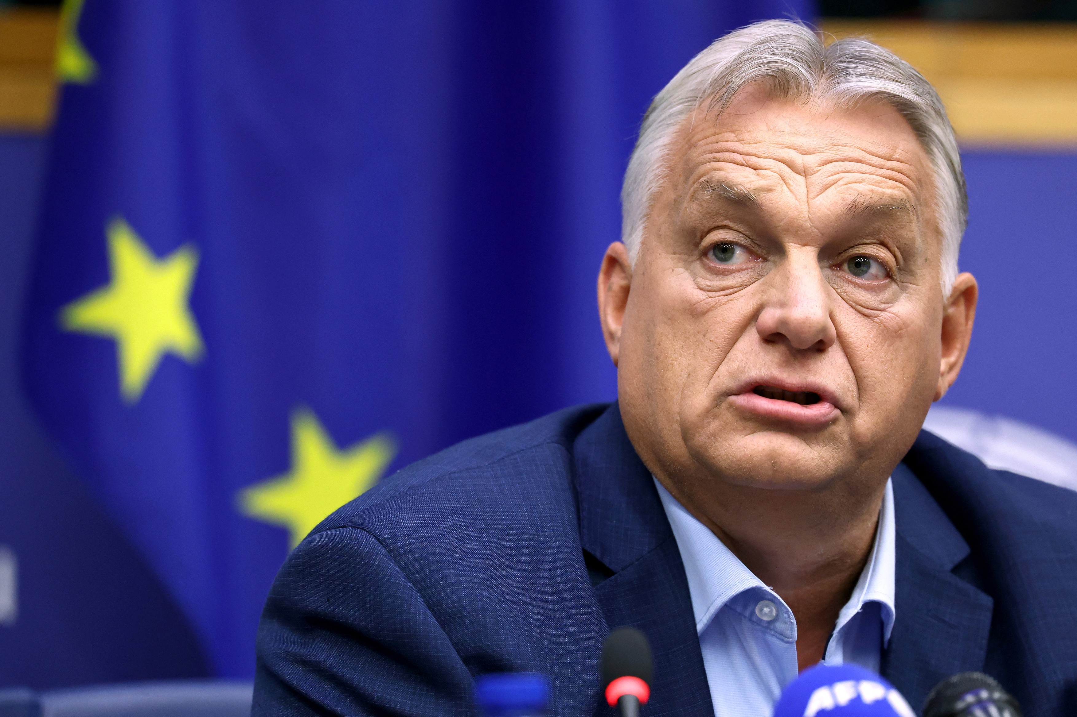 Viktor Orban, recunoscător: "România e un teren de testare, iar noi putem trage mai multe concluzii şi stabili dacă avem ceva de făcut"