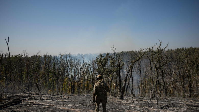 Volunteer search group identifies remains of soldiers found on battlefield in Ukraine