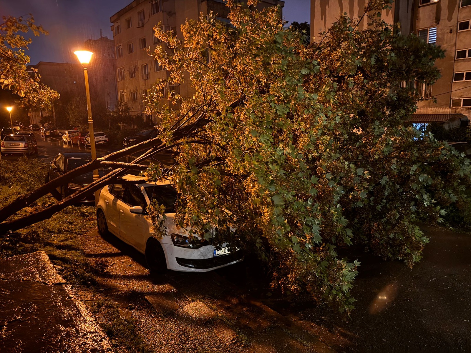 Cod roșu de ploi torențiale în județul Constanța, azi-dimineață. A fost emis și un mesaj Ro-Alert