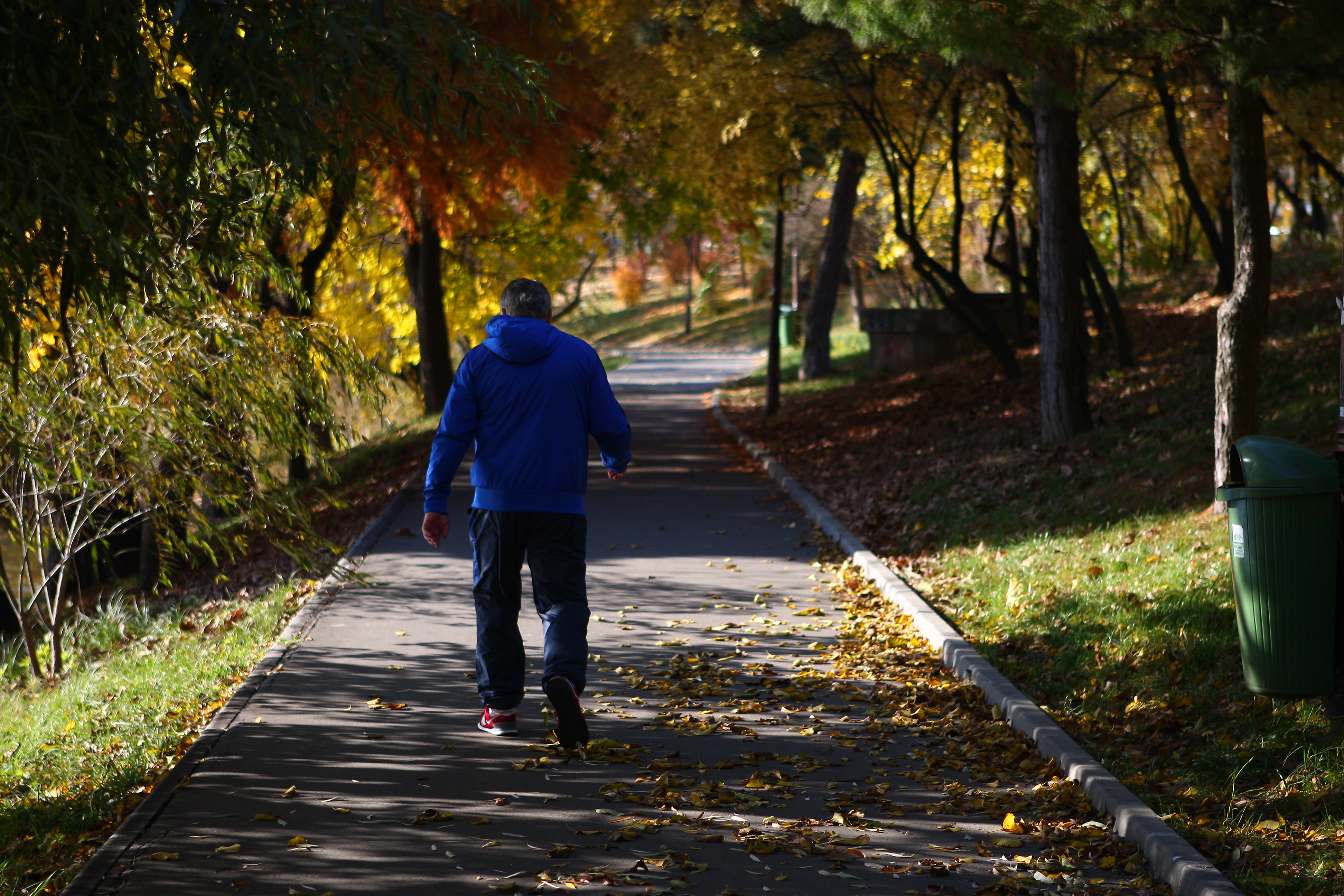 Prognoza meteo pe patru săptămâni: urmează temperaturi mai scăzute decât cele normale perioadei