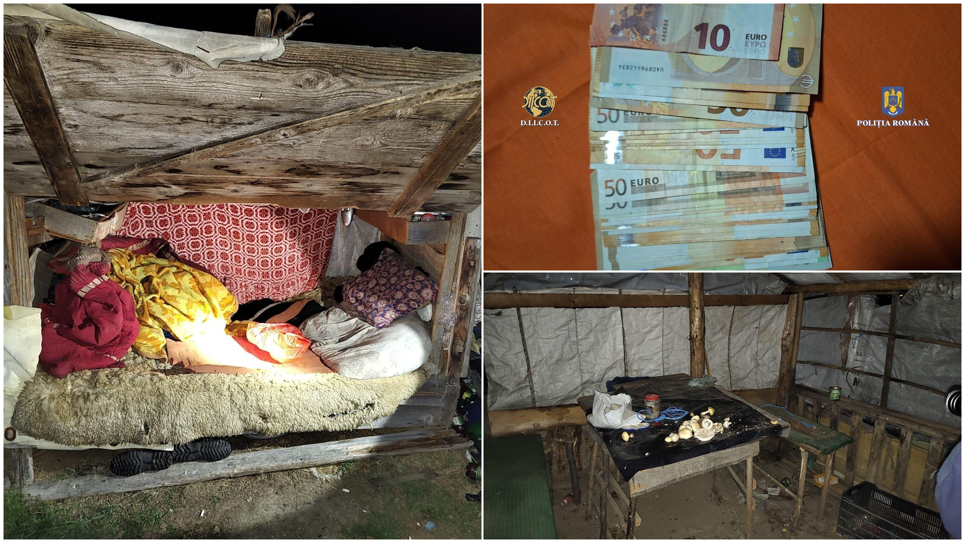 Caz de sclavie la o stână din Covasna. Victimele au fost racolate din gări din Brașov și București