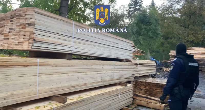 Lemn în valoare de 350.000 de lei, transportat ilegal. Ce au descoperit autoritățile
