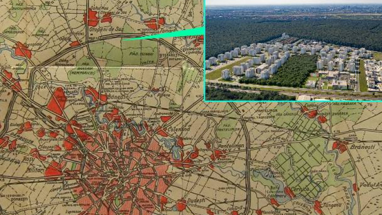 (P) Cum a apărut Greenfield lângă pădurea Băneasa?