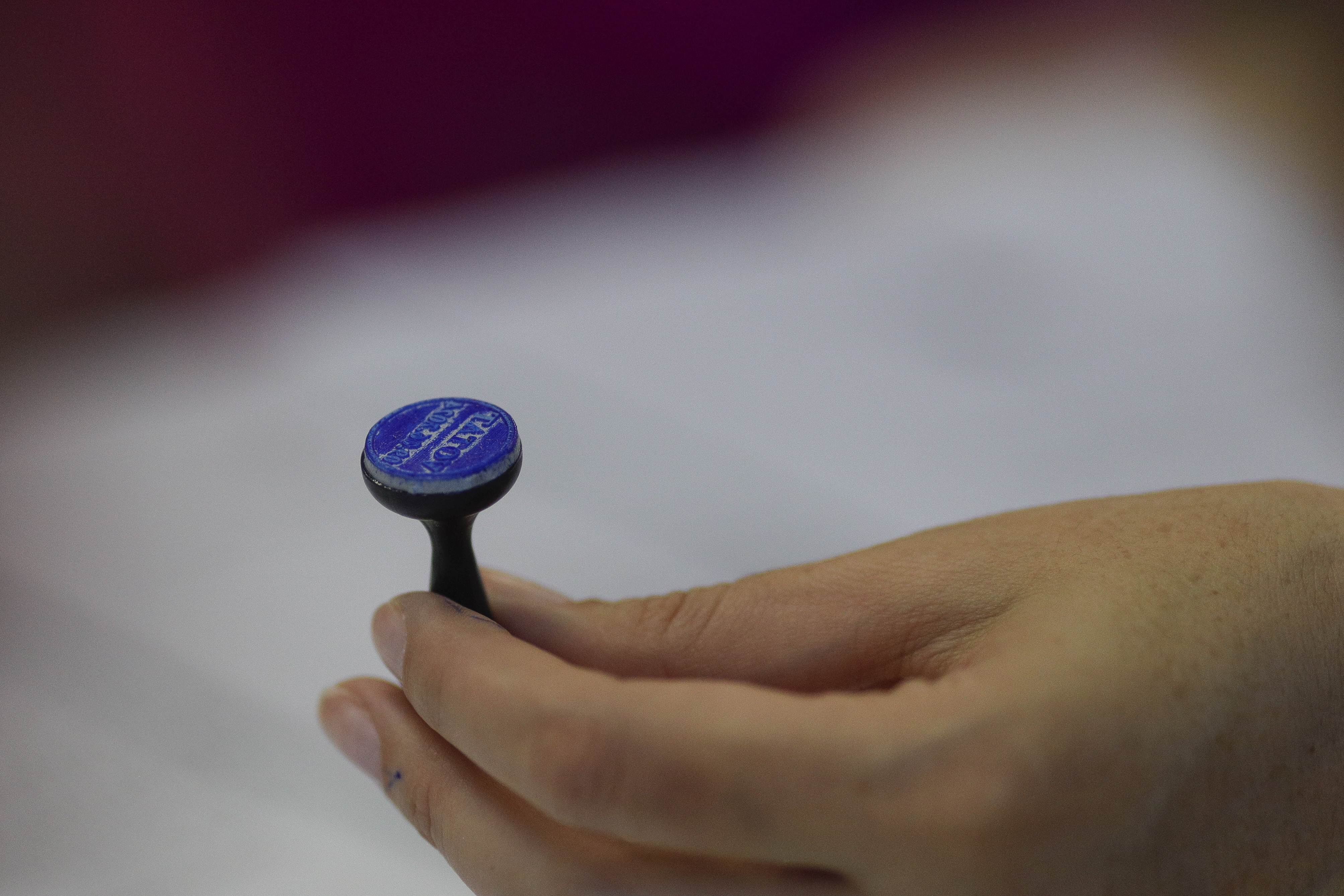 Alegeri prezidențiale 2024. Ordinea candidaților la prezidențiale pe buletinul de vot din primul tur. Românii au de ales dintre 14 nume