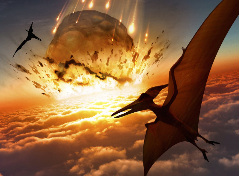 Flying reptiles and asteroid, artwork