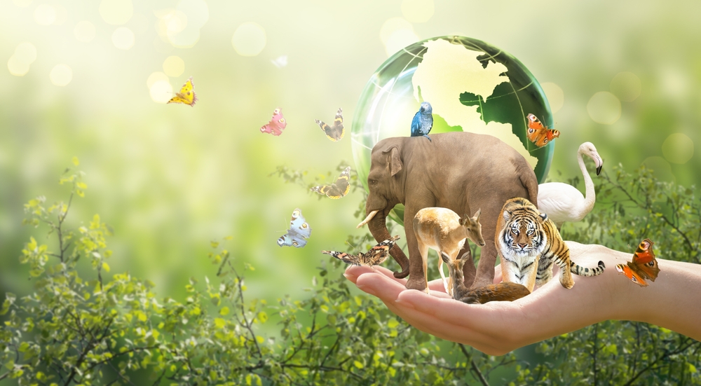 Pierdem natura într-un ritm alarmant. Scădere de 73% a populațiilor de specii sălbatice în doar 50 de ani, arată un raport