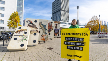 Dominospiel vor UN-Gebäude in Bonn für besseren Naturschutz - 18.10.2024. Wenige Tage vor Beginn der Weltnaturkonferenz