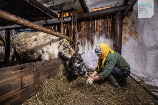 Winners of 10th Istanbul Photo Awards announced