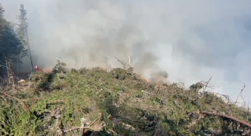 Un incendiu de pădure a izbucnit în apropierea Vârfului Comisu, județul Brașov. 100 de pompieri și un elicopter DSU intervin