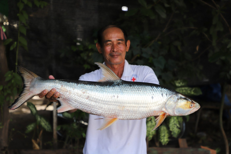 CAMBODIA RARE FISH REDISCOVERY