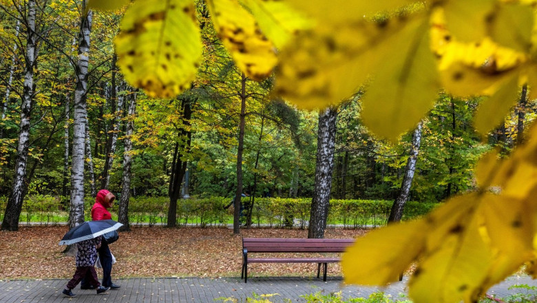 A mother and child walk in an autumn Park in Moscow during a rain, Russia