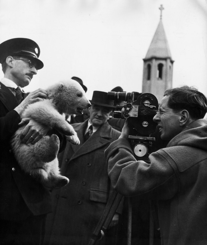 Un pui de urs polar, fotografiat în timp ce este ridicat de către un îngrijitor al Grădinii zoologice din Londra.