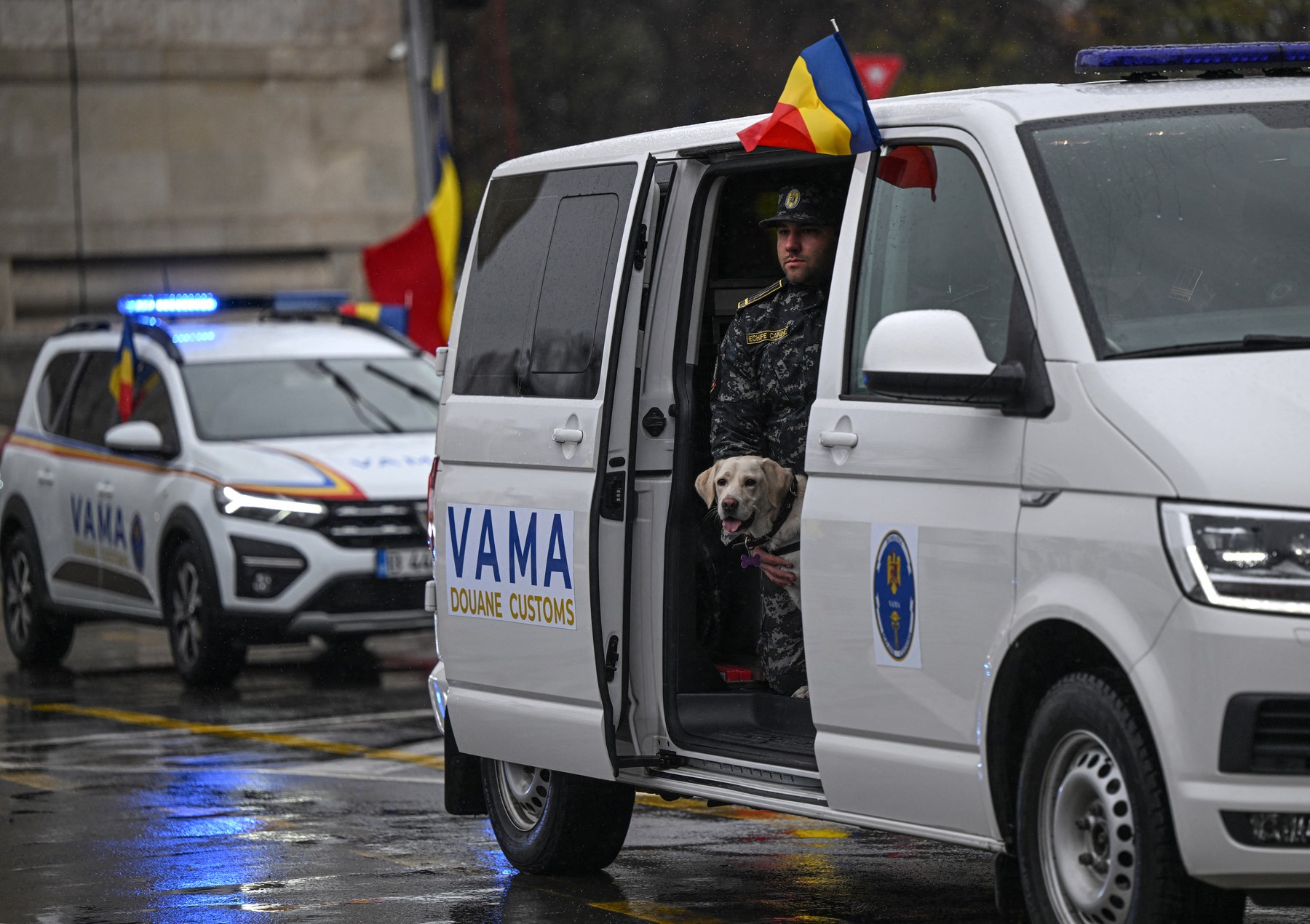 Peste 250 de autovehicule furate au fost descoperite anul acesta la frontieră. De unde proveneau mașinile
