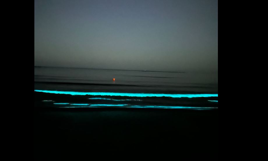 VIDEO Fenomen spectaculos pe litoral: Apa mării a devenit strălucitoare, datorită bioluminiscenței