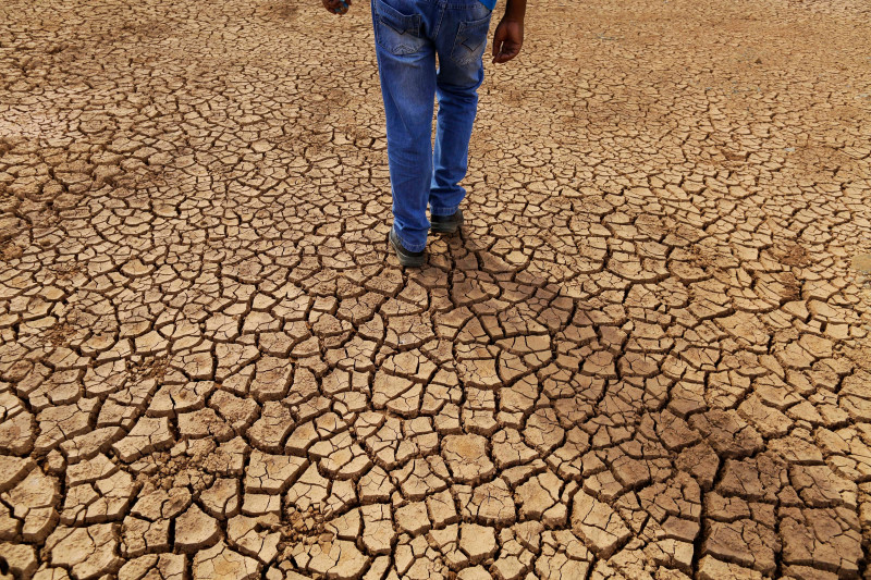 Aproape 38.000 de decese cauzate de schimbările climatice, înregistrate în Europa în vara anului 2022.