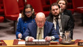 Ambassador Vassily Nebenzia of Russia speaks during UN Security Council