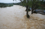 Inundații Castellon, Spania. Foto: Profimedia due to the DANA