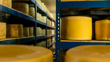 branza cheddar in depozit