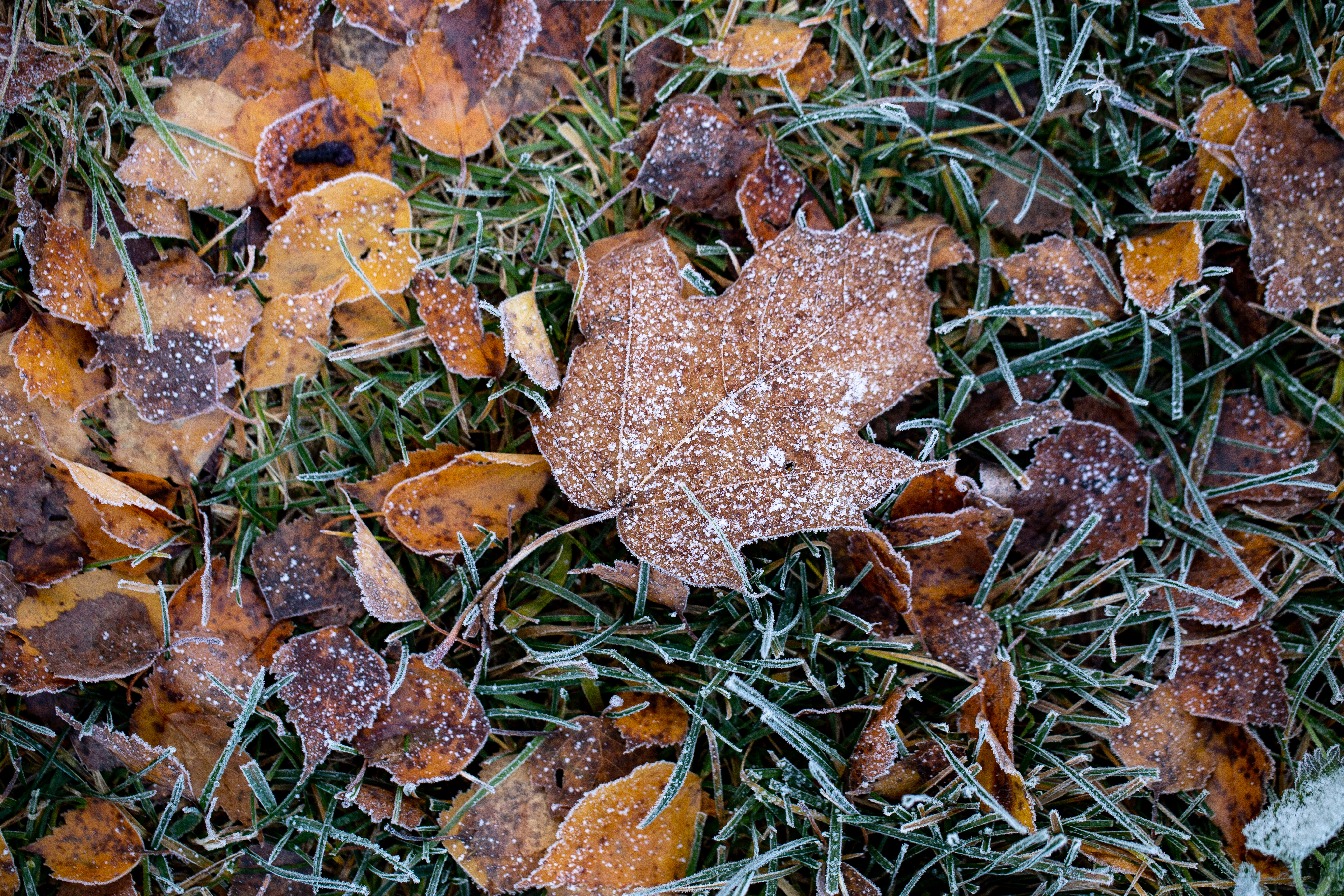 ANM anunță două săptămâni cu temperaturi mai mici decât normalul perioadei. Cum va fi vremea până la 1 decembrie în toate regiunile