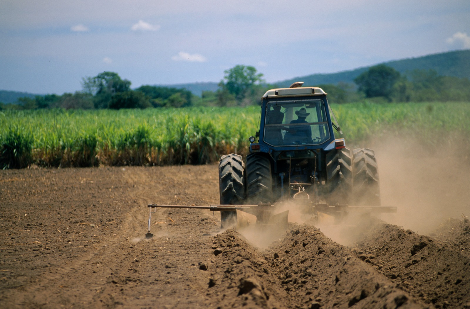 Criză de specialiști în agricultură. Soluția găsită de antreprenori și ce salarii le propun viitorilor lor colegi: „Credem în tineri”