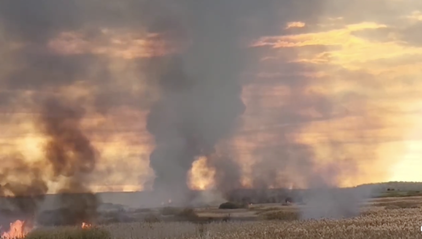 Incendiu uriaș în Delta Neajlovului din Giurgiu