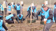 voluntari planteaza puieti