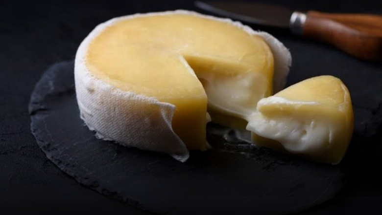 Brânza Queijo de Ovelha Amanteigado câștigătoare 2024 la World Cheese Awards în Viseu | sursa foto: Digi24