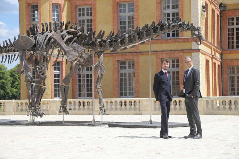 Largest dinosaur skeleton ever to come to auction expected to fetch £16.8m