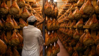 Italy: Swine fever in Italy, Parma ham at risk. Exports blocked