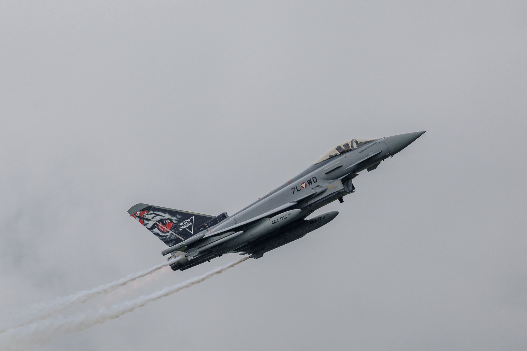 Austria spațiu aerian neprotejat Eurofighter piloți militari salarii suspendări zboruri | sursa foto: Digi24