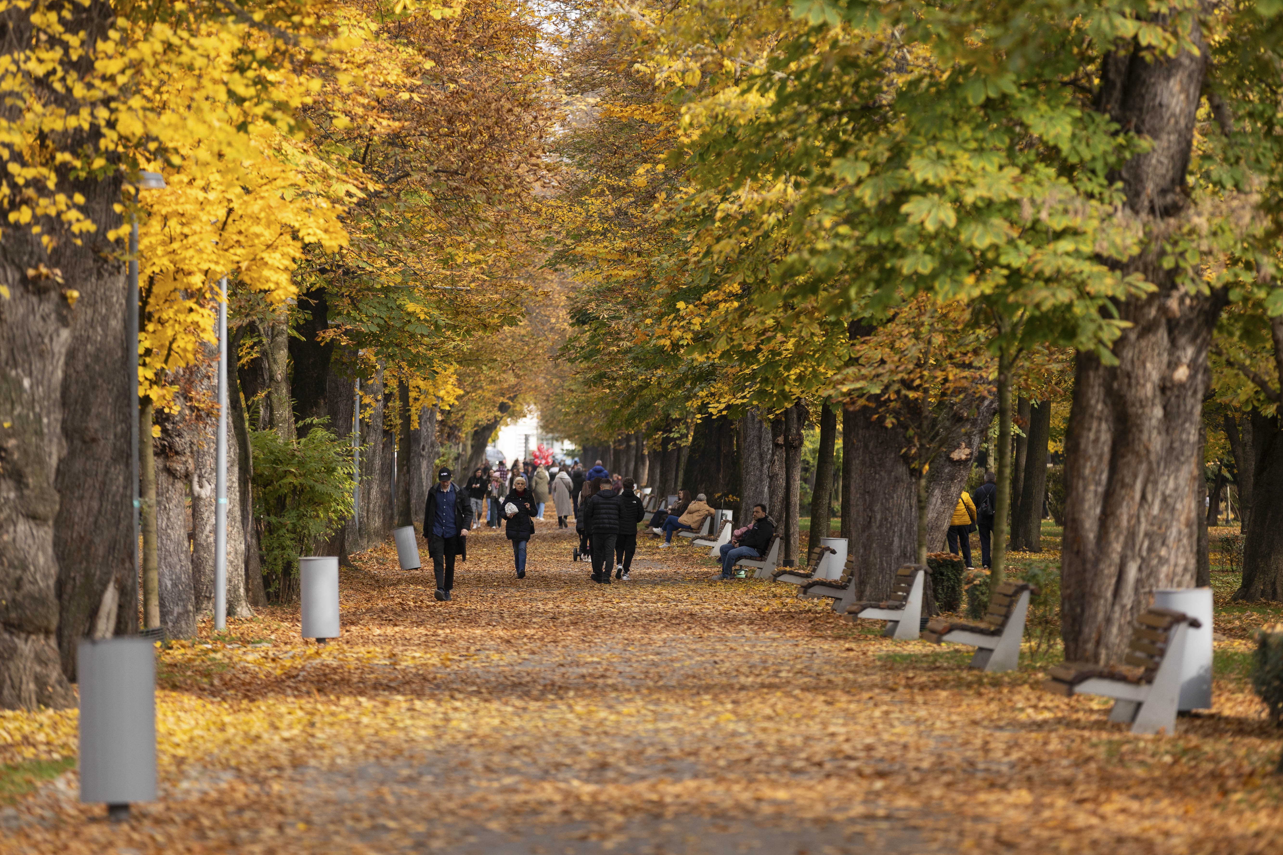 Prognoza meteo: următoarele zile vom avea vreme frumoasă cu temperaturi de 19 grade. Când sunt așteptate ninsorile
