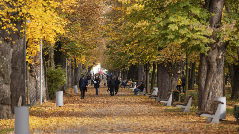 CLUJ-NAPOCA - PARCUL CENTRAL - ILUSTRATIE - 3 NOV 2024