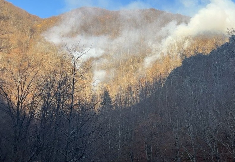 Incendiu de vegetație uscată în județul Vâlcea. Focul s-a extins pe zece hectare, iar pompierii au cerut sprijin aerian