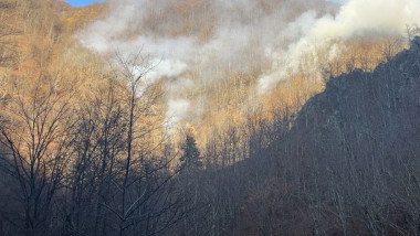 Incendiu de vegetație uscată în județul Vâlcea.